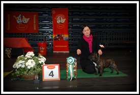 C.I.B, EE& FI & LV MVA, LT JMVA, LV JMVA, EE JMVA, BALT JMVA Taffinelli's Dazzling Star