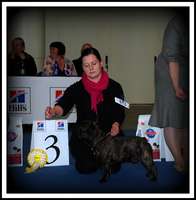 C.I.B, EE& FI & LV MVA, LT JMVA, LV JMVA, EE JMVA, BALT JMVA Taffinelli's Dazzling Star