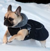 BALT, LT,LV & EE VET MVA, FI MVA, EE MVA LV MVA Taffinelli's Dolores