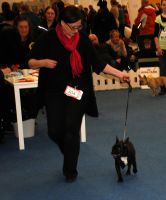 EE MVA FI MVA Taffinelli's California Love