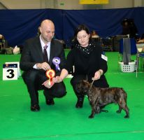 C.I.B, EE& FI & LV MVA, LT JMVA, LV JMVA, EE JMVA, BALT JMVA Taffinelli's Dazzling Star