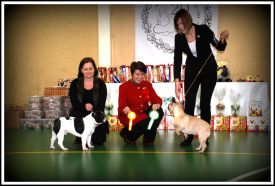 FI MVA, EE MVA, LV MVA, EE & LV  JMVA Mustan Pekan Tomme de Belleville