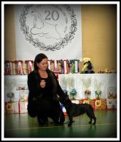 EE MVA FI MVA Taffinelli's California Love