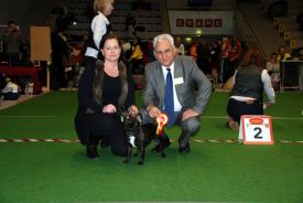 EE MVA FI MVA Taffinelli's California Love