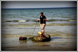 Taffinelli's Estelle