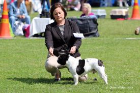 FI MVA, EE MVA, LV MVA, EE & LV  JMVA Mustan Pekan Tomme de Belleville