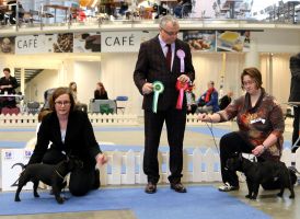 BAL,LT,FI, LV & EE MVA, EE JMVA Taffinelli's Hooligan Harley