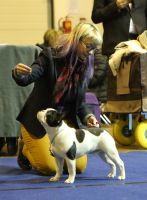 Taffinelli's Jean-Baptiste