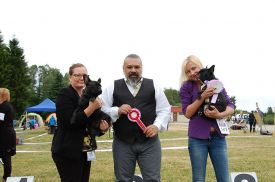 C.I.B.,FI MVA,LV MVA, EE MVA, BALT JMVA,LV JMVA,EE JMVA,LT JMVA Agramer's Just Wow