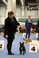 Dashin Dom Operetta Olga