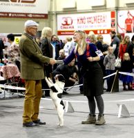 Taffinelli's Jean-Baptiste