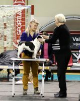 Taffinelli's Jean-Baptiste