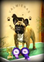 FI & EE & LV MVA, BAL JMVA, LV JMVA,LT JMVA,EE JMVA Taffinelli's Kiss Kiss Boom Boom