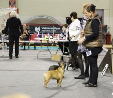 FI & EE & LV MVA, BAL JMVA, LV JMVA,LT JMVA,EE JMVA Taffinelli's Kiss Kiss Boom Boom