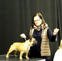 FI & EE & LV MVA, BAL JMVA, LV JMVA,LT JMVA,EE JMVA Taffinelli's Kiss Kiss Boom Boom