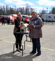 BALT, LT,LV & EE VET MVA, FI MVA, EE MVA LV MVA Taffinelli's Dolores