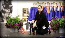 EST & LV & FI MVA, LV & EST JMVA Taffinelli's  L'Amour  De Fleur