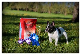 EST & LT JMVA Neuvieme Art  Des Courtines De Chambray