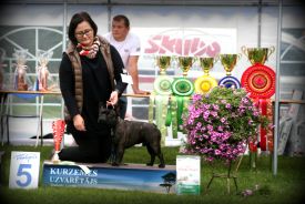 C.I.B.,FI MVA,LV MVA, EE MVA, BALT JMVA,LV JMVA,EE JMVA,LT JMVA Agramer's Just Wow