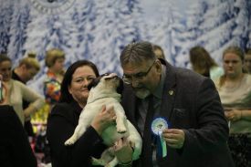 EST & LT JMVA Neuvieme Art  Des Courtines De Chambray