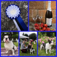 Taffinelli's Jean-Baptiste