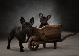 Taffinelli's Oh La La