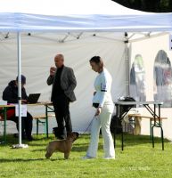 Taffinelli's Que Fait La Vie